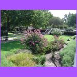 Gardens 6.jpg